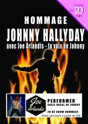 Soirée hommage à Johnny Hallyday