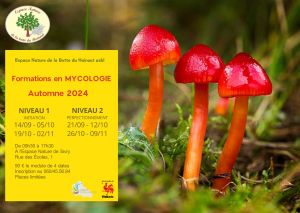 Mycologie Formations 2024