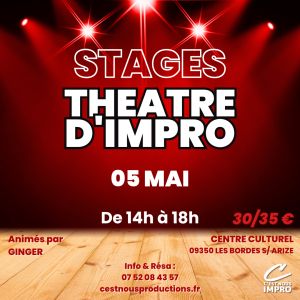 Stage Découverte Théâtre d'Improvisation